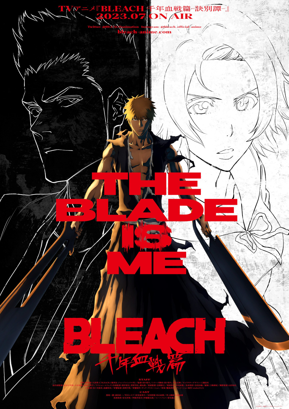 Bleach - La guerra dei mille anni